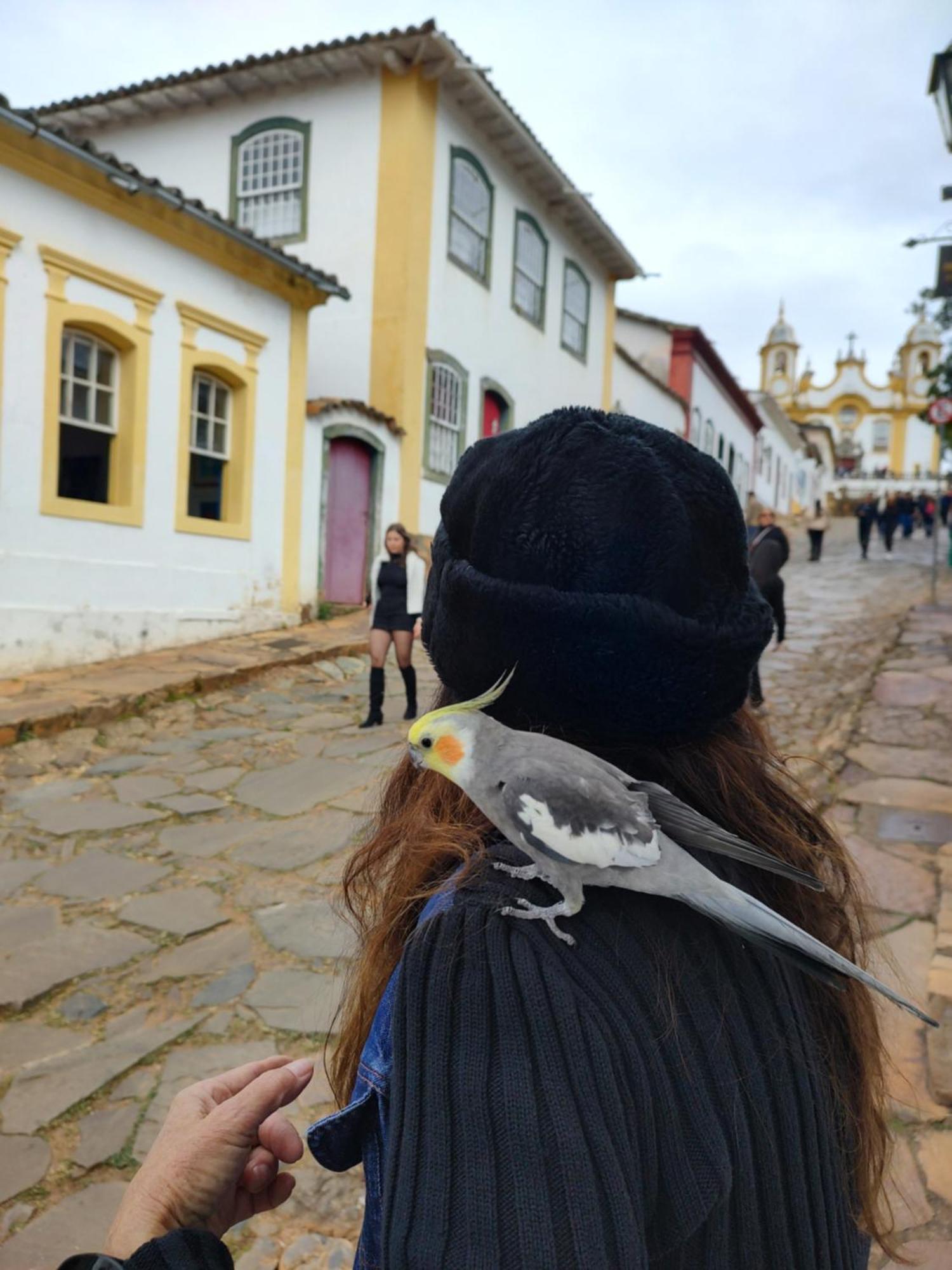 Antiquario & Pousada Da Matriz Hotel ทีราเดนเจส ภายนอก รูปภาพ